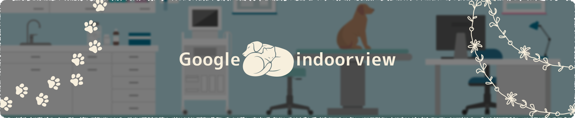 google indoorview